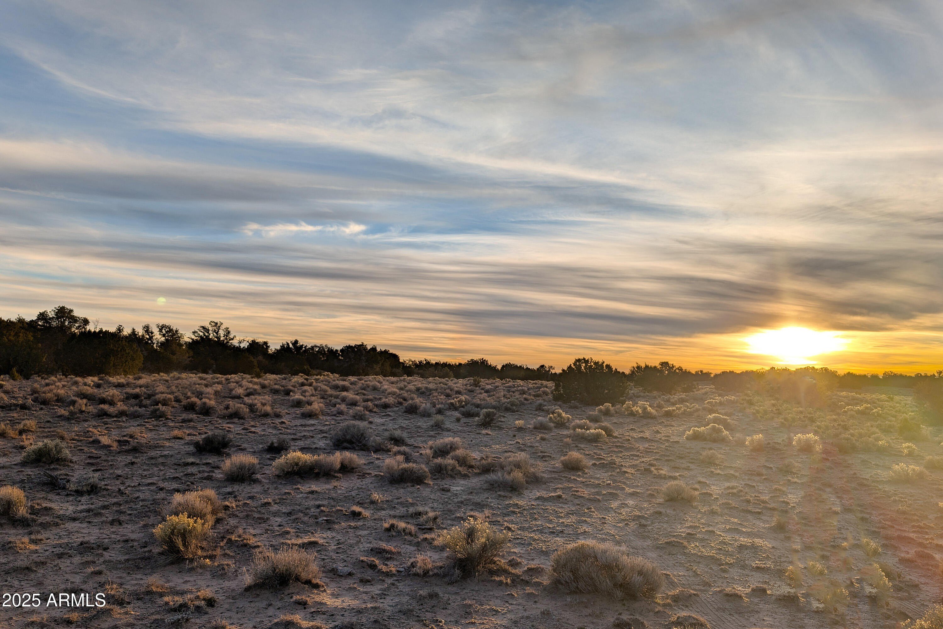 40 Acres in Apache County