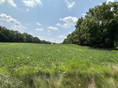LAND - Niles, MI