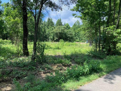 Vilonia Land For Sale