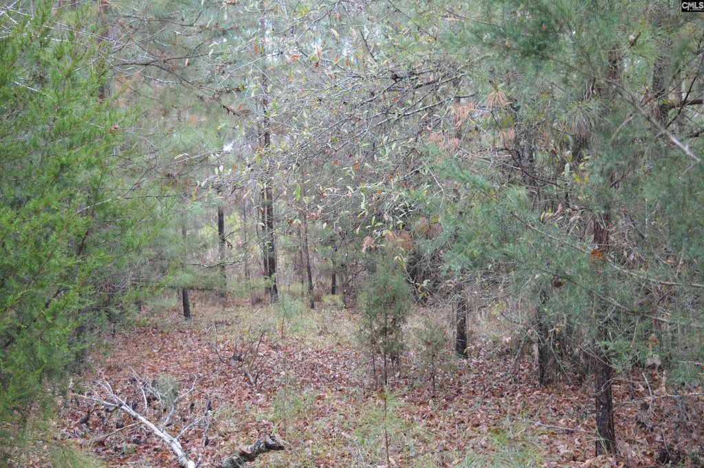 Picture 4