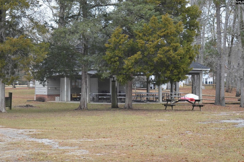 Picture 11