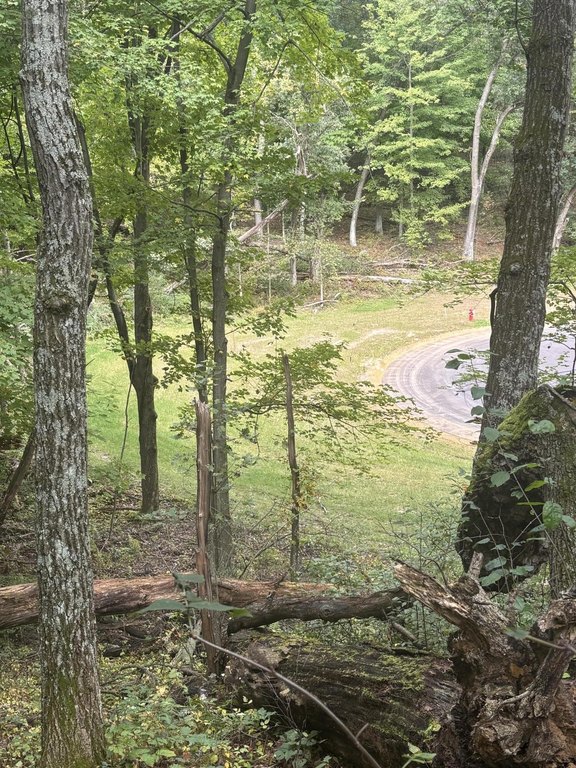 Picture 8