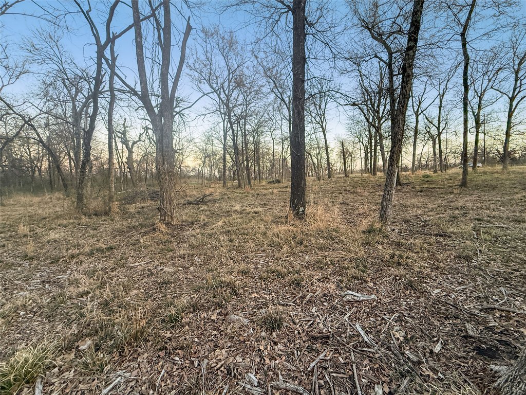 Picture 6