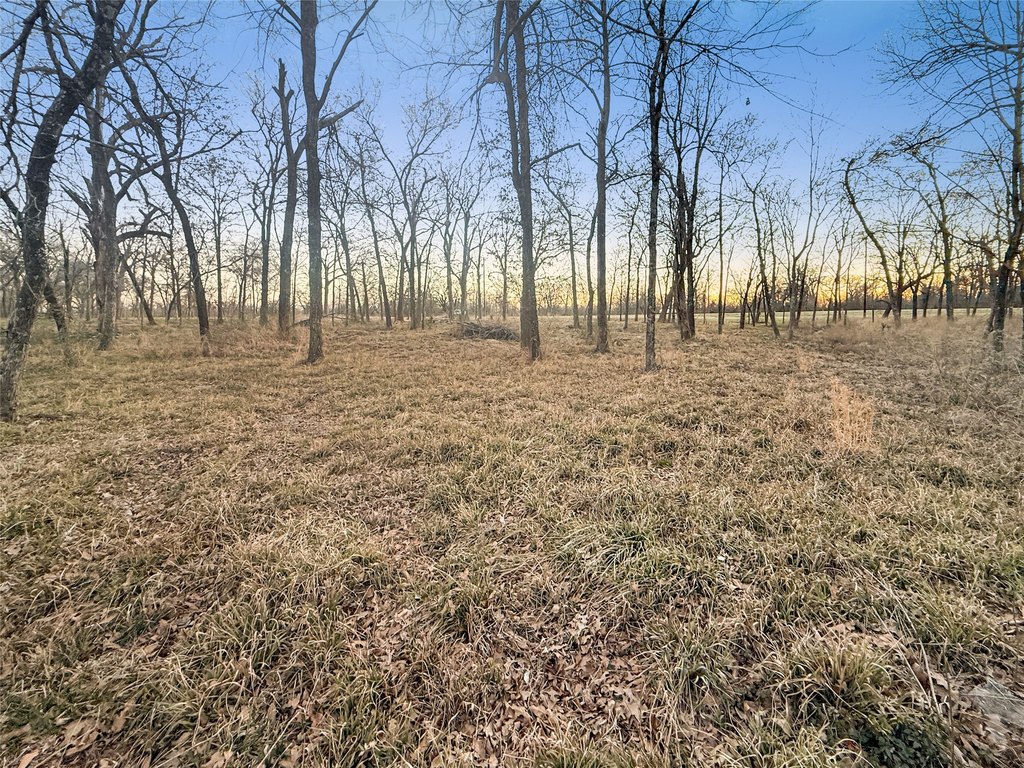 Picture 8