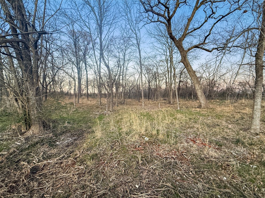 Picture 5