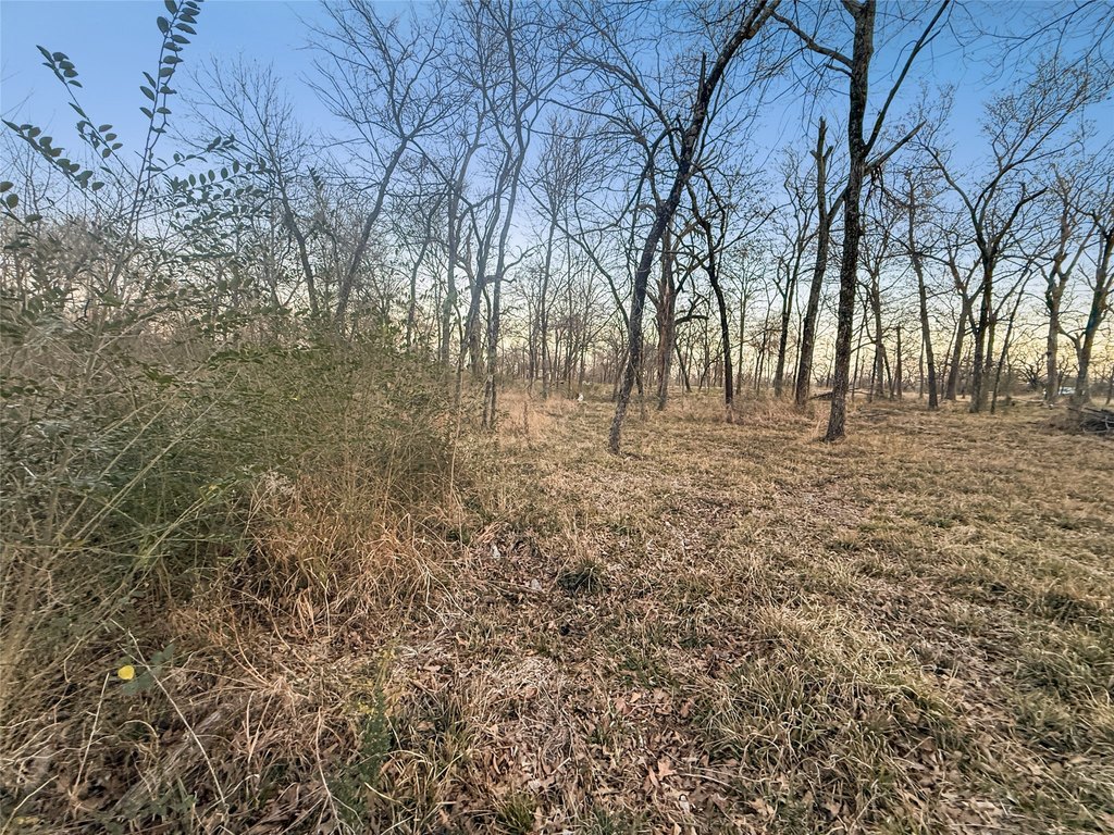 Picture 9