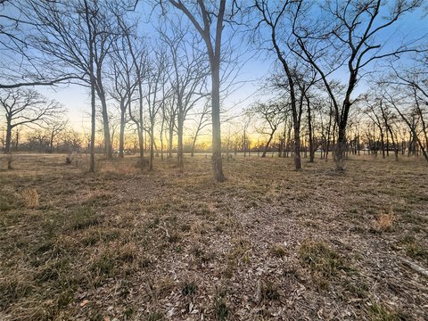 Sulphur Springs Land with Trees