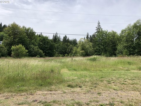 Vernonia Land with Development Potential