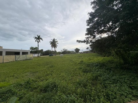 Fenced Commercial Land