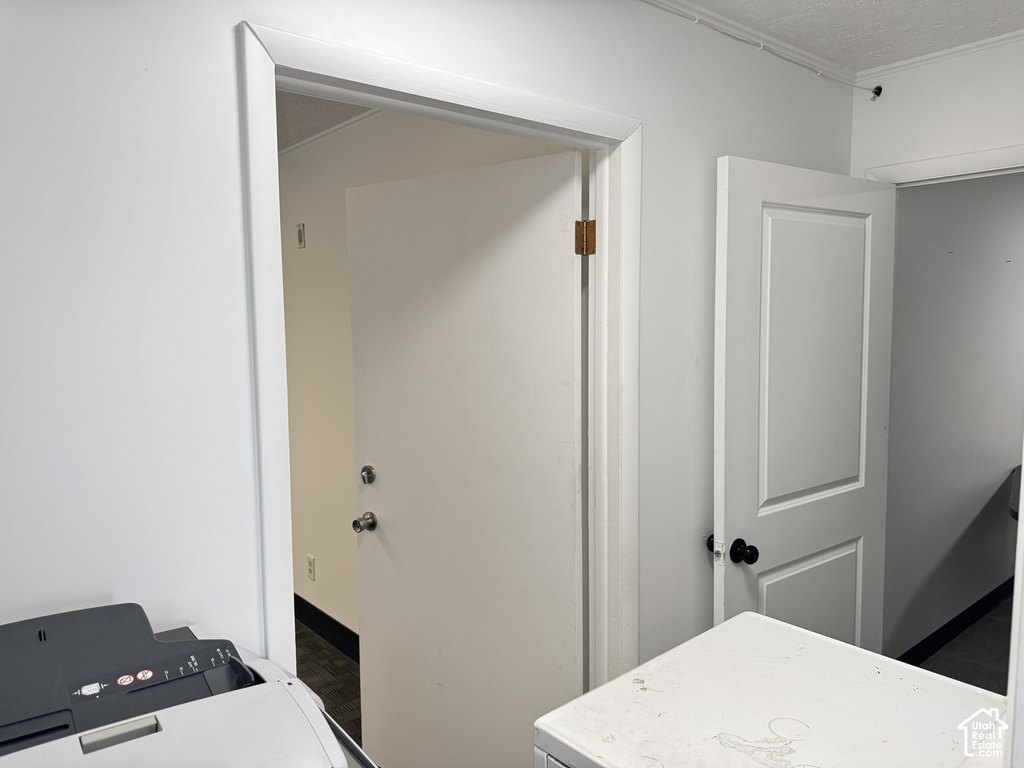 Picture 26
