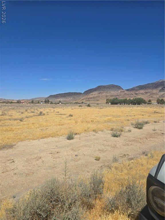 Picture 8