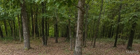Land, Marthasville, MO