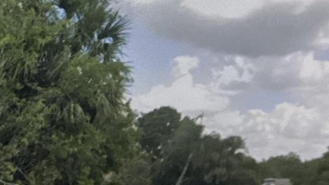 PORT CHARLOTTE, FL