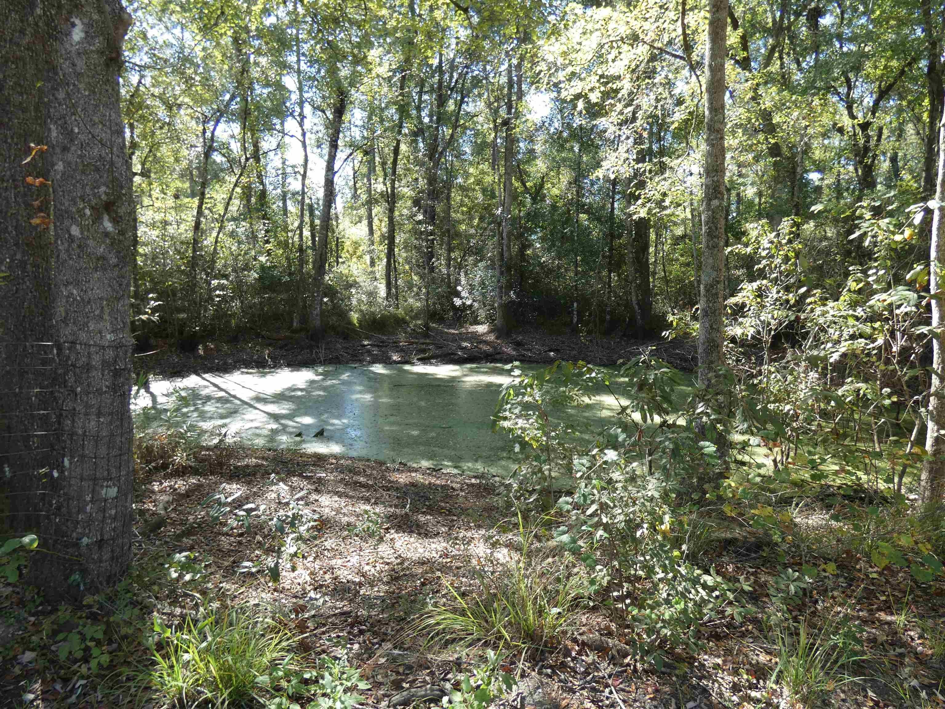 Crawfordville Land with Shared Pond