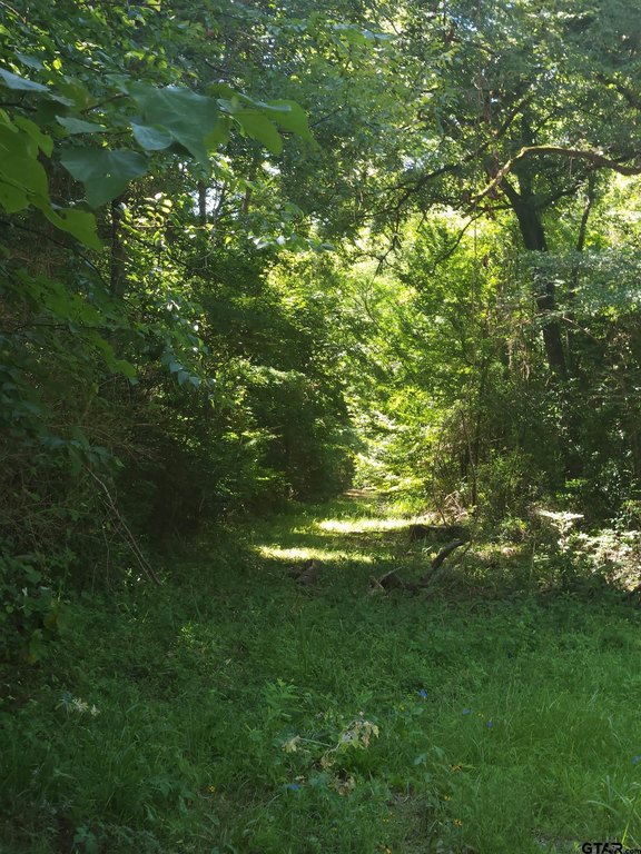 Picture 5