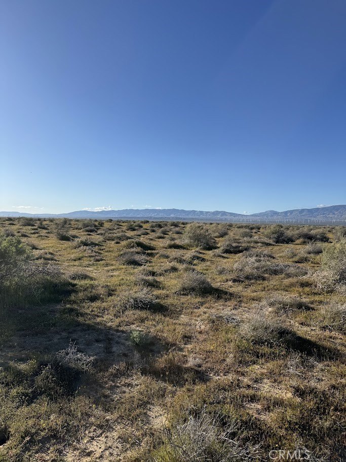 Lancaster Land on Avenue B