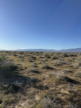 Lancaster Land on Avenue B