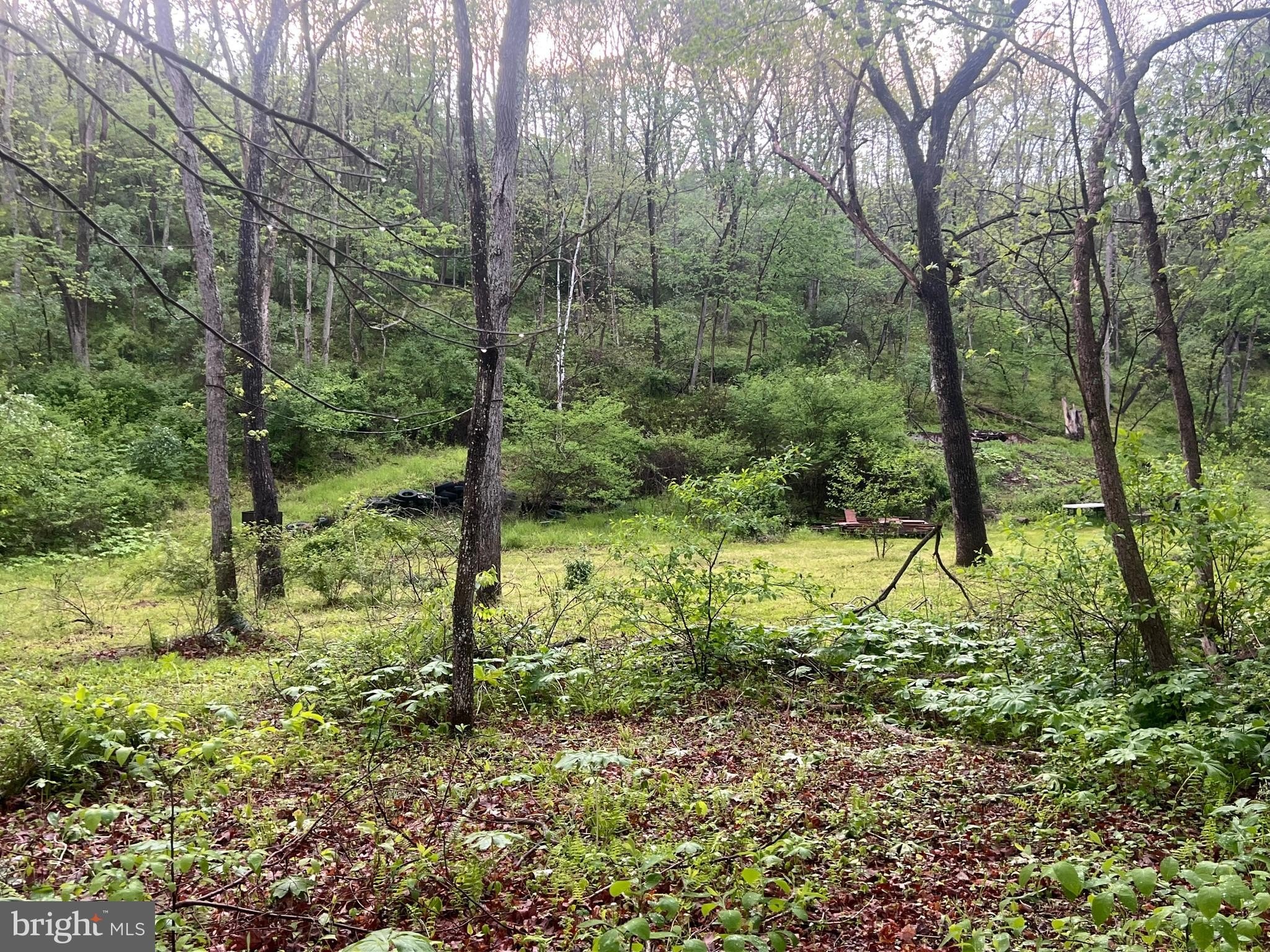 Waterfront Land on Sidling Hill