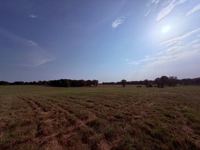 Picture 7