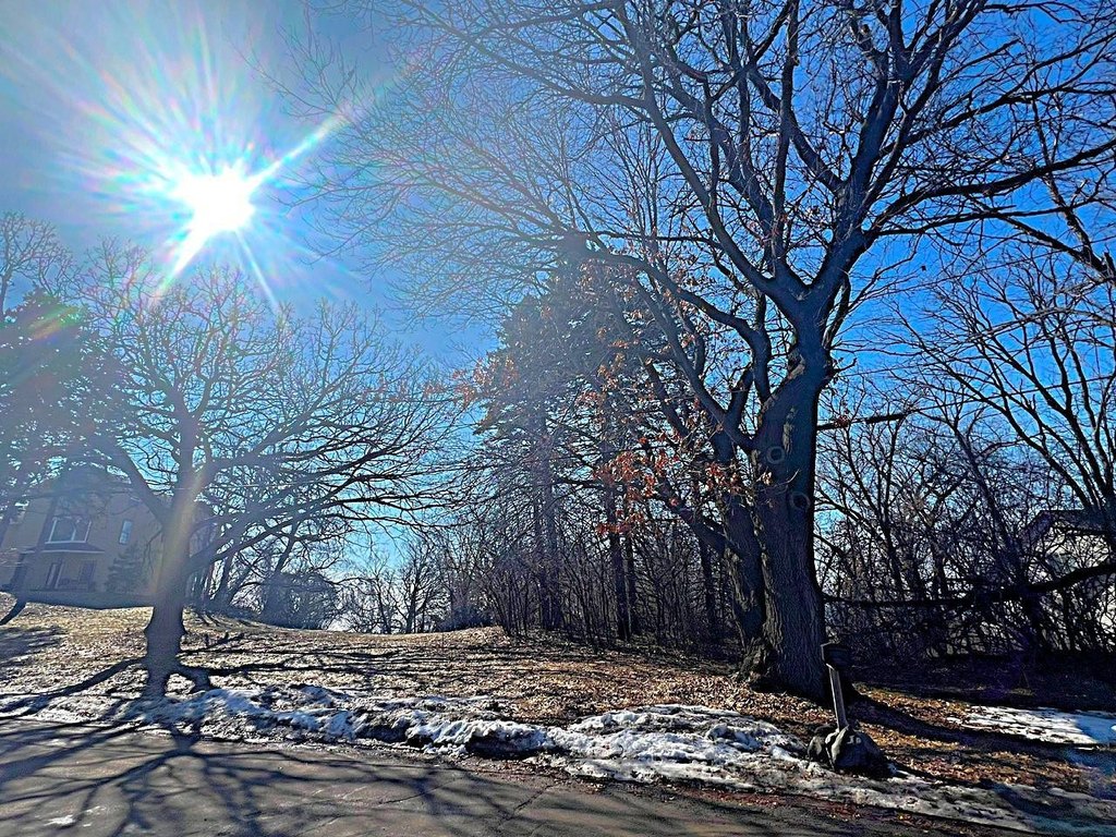 Picture 16