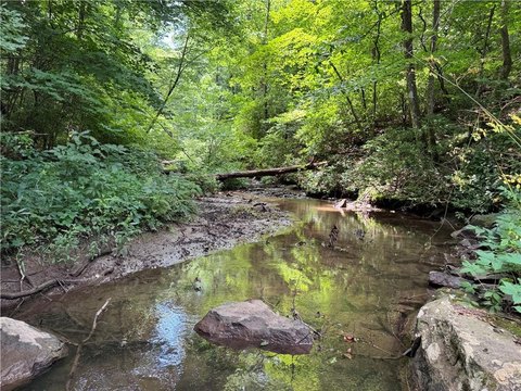 LAND - Ellijay, GA