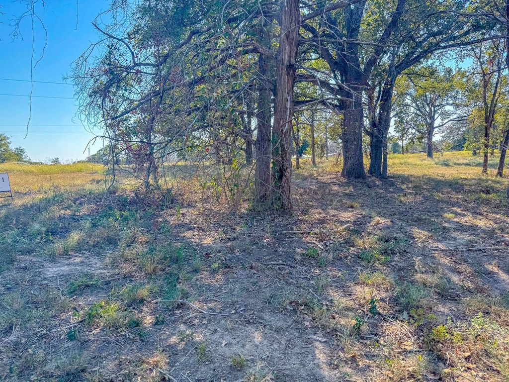 Picture 18