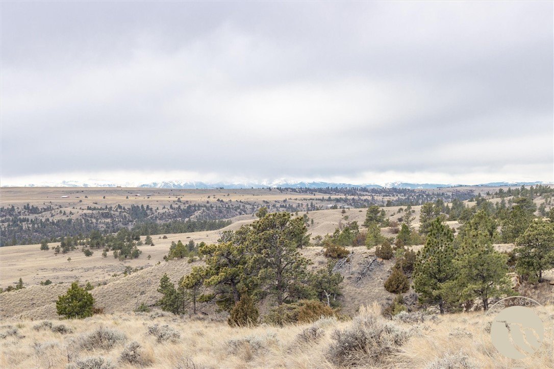 Molt, MT 20-Acre Land