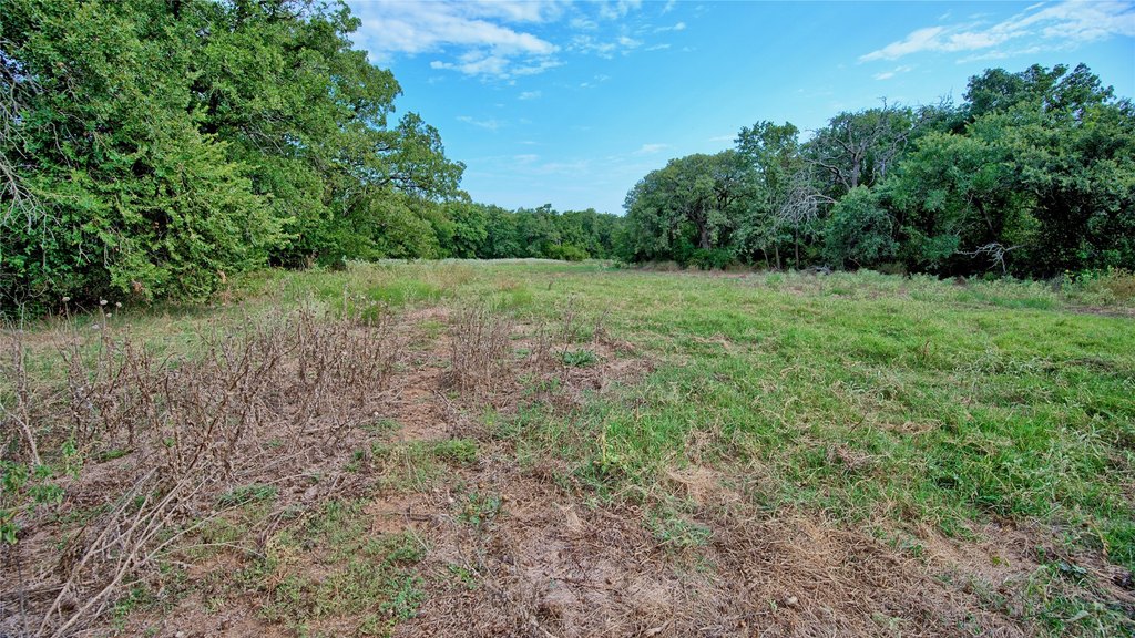 Picture 38