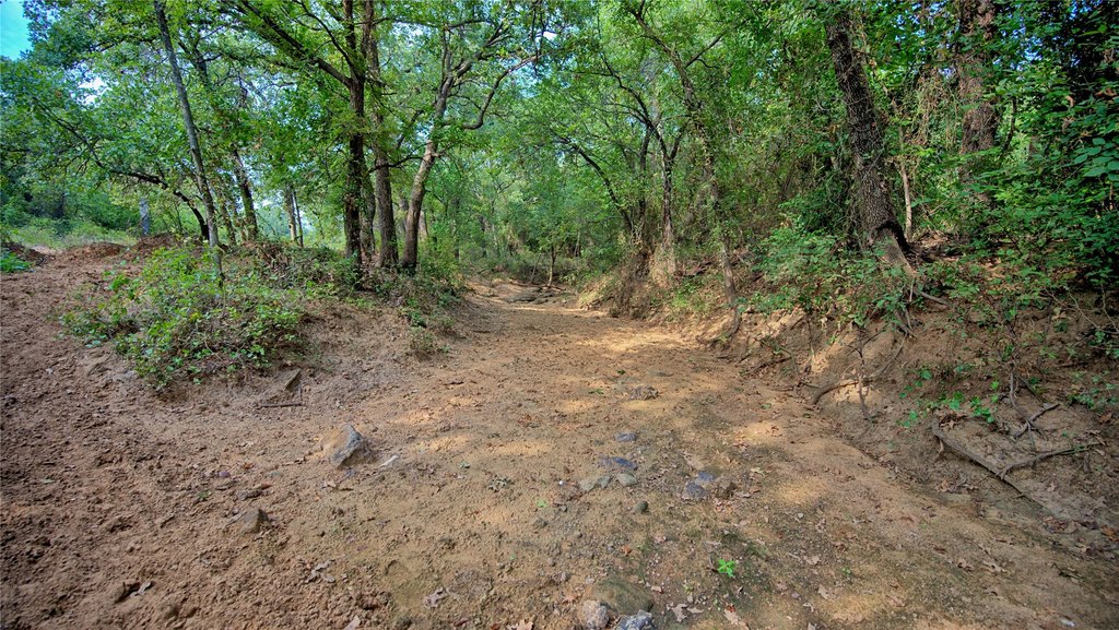 Picture 9