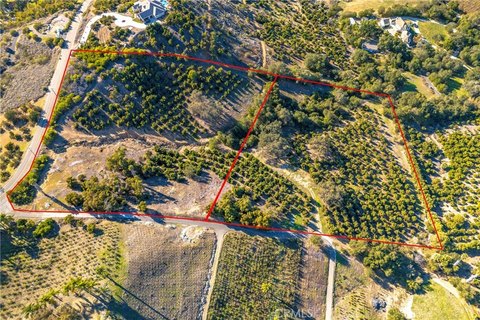 Avocado Grove Agricultural Land