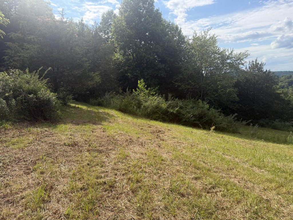 Picture 10