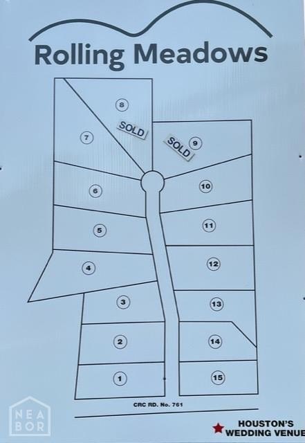 Picture 13
