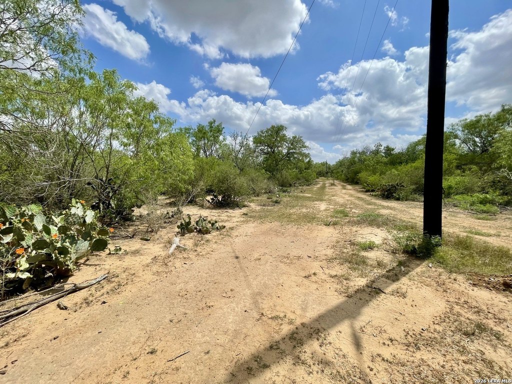 Picture 6