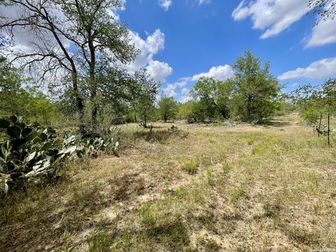 LAND - La Vernia, TX