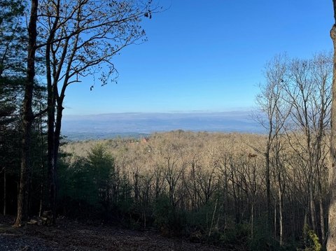 Mountain View Gated Land Parcel