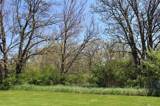 Residential Lot in Established Subdivision