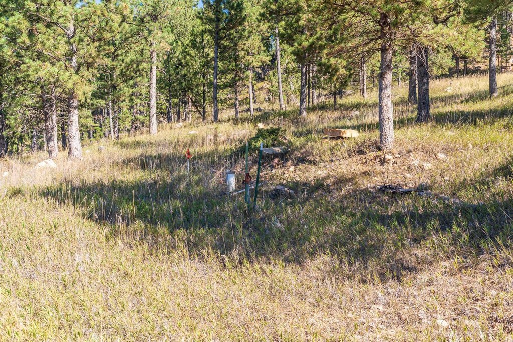 Picture 46