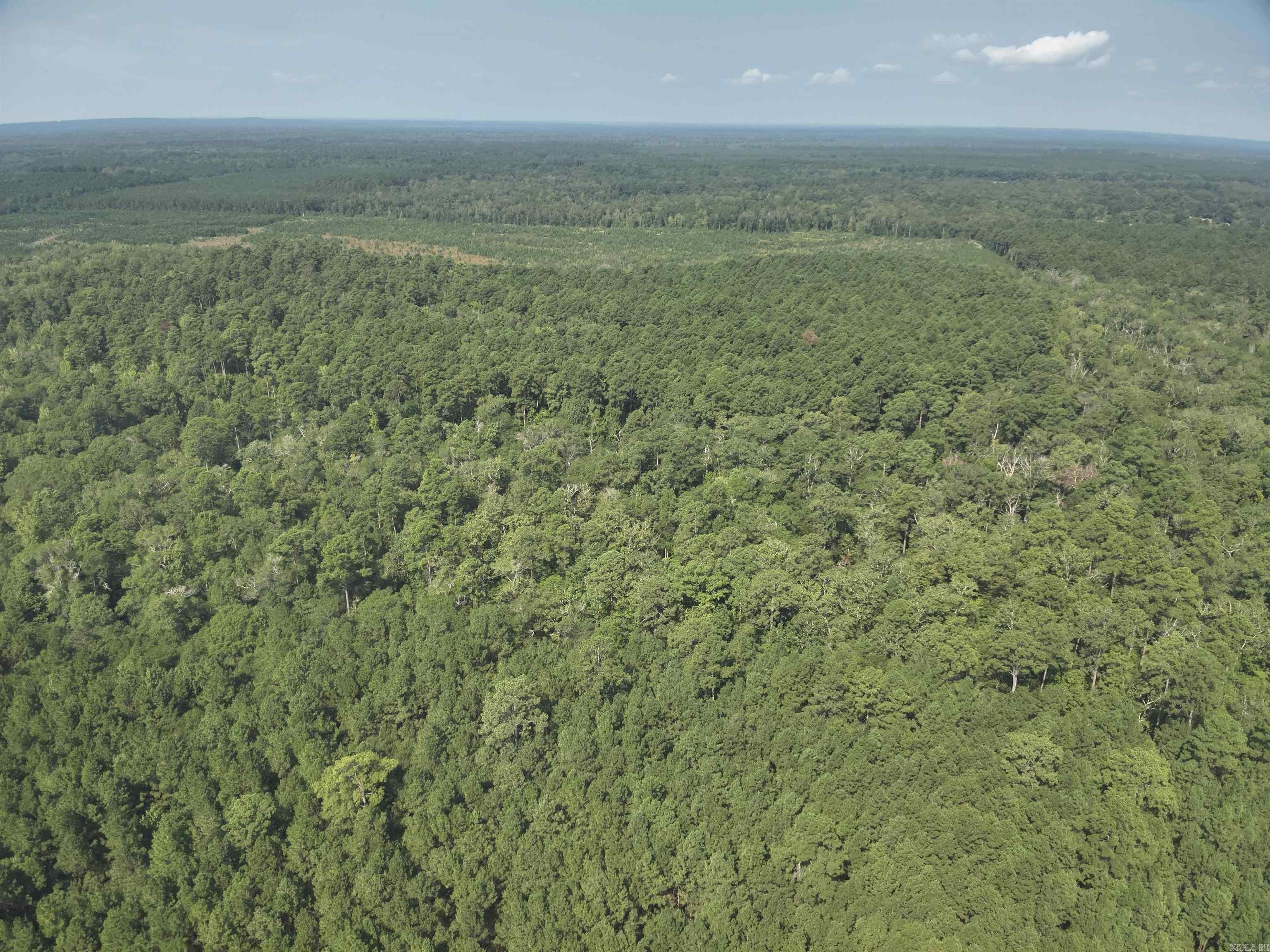 Harmony Grove Timberland Investment Opportunity