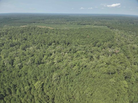Harmony Grove Timberland Investment Opportunity
