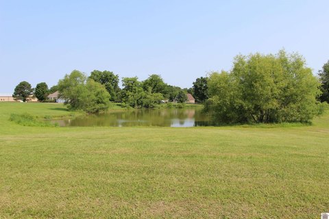 Waterfront Lot on Eagle Lake