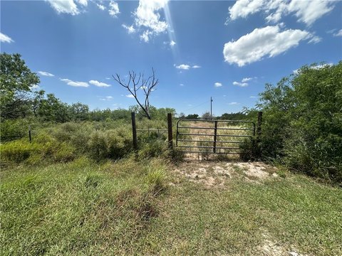 LAND - Orange Grove, TX