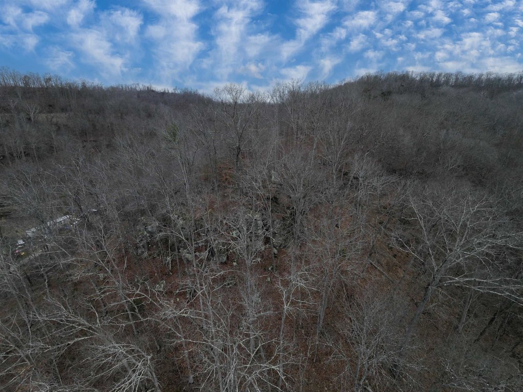 Picture 4