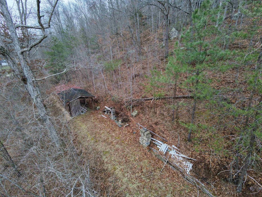 Picture 6