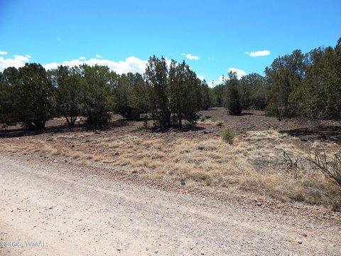 Residential Land in Show Low