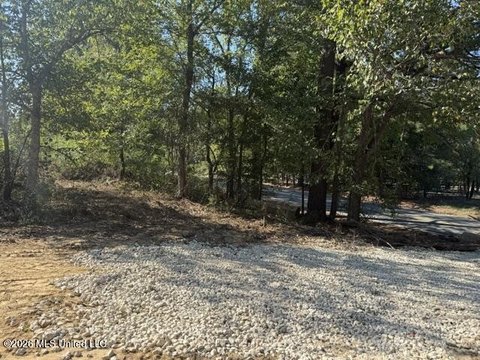 Land, Hernando, MS
