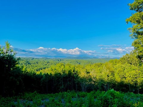 Acreage Lot with Underground Power
