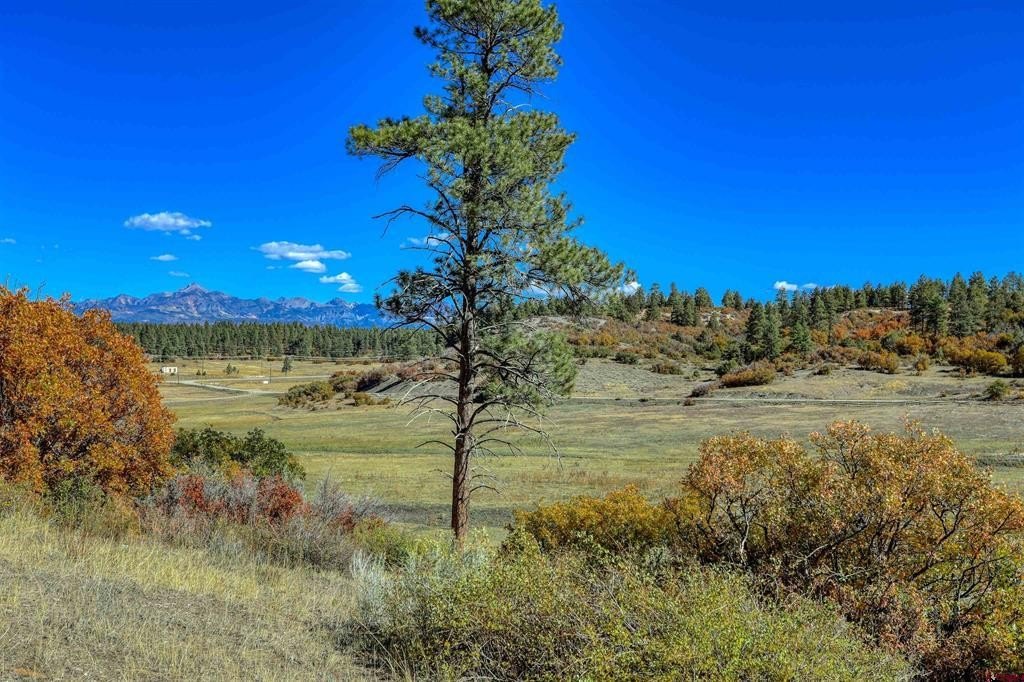 Land in Pagosa Springs, CO