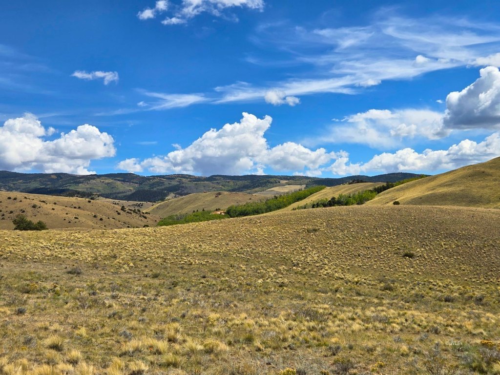 Picture 30