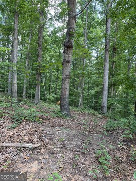 Conyers Land with Creek Access