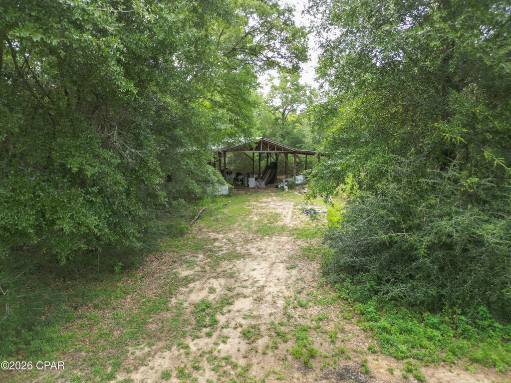 Picture 16